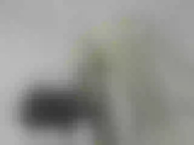 Live sex webcam photo for ego777me #287981715