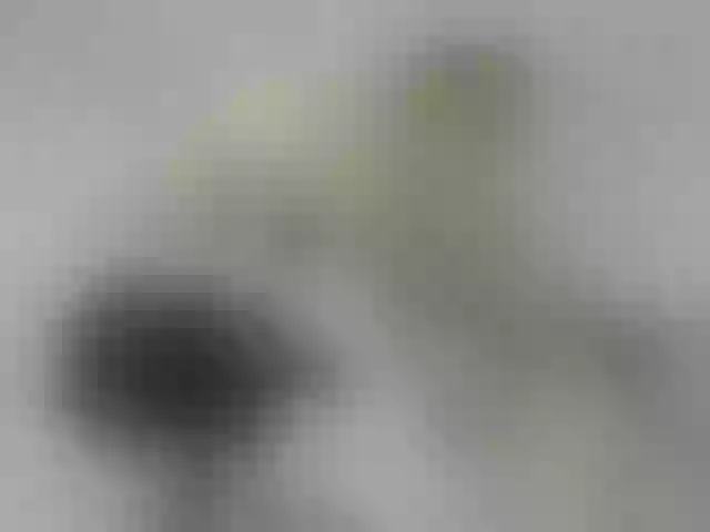 Live sex webcam photo for ego777me #287981716