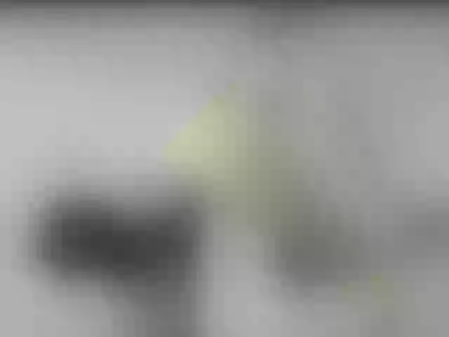 Live sex webcam photo for ego777me #287981735