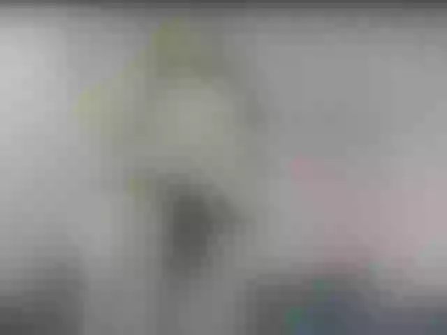 Live sex webcam photo for ego777me #287981746