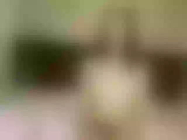 Live sex webcam photo for Eimy-vanesa #274559608