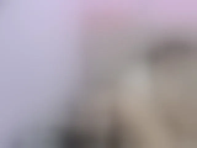 Live sex webcam photo for Eimyflorian #290829478