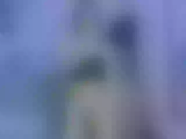 Live sex webcam photo for Eimyflorian #291726377