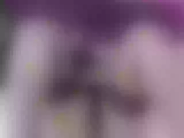 Live sex webcam photo for EinnyMure #289489835