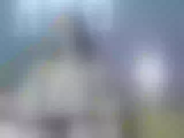 Live sex webcam photo for ElaMorris #291935419