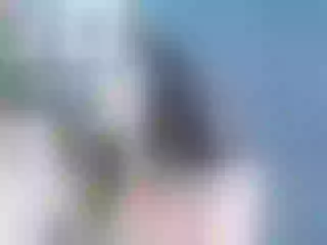 Live sex webcam photo for ElaMorris #292258038