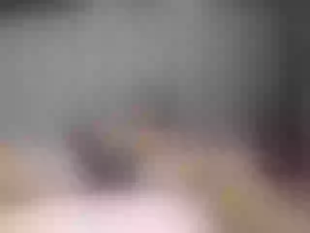 Live sex webcam photo for Elchamo-12 #275915275