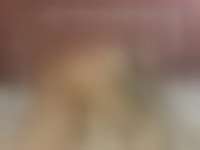 Live sex webcam photo for ElektraTs #292504400