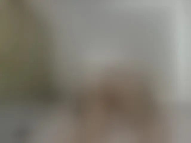 Live sex webcam photo for ElektraTs #293639227