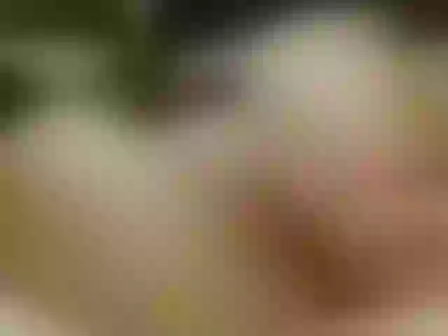 Live sex webcam photo for Elektraxxx #272185901