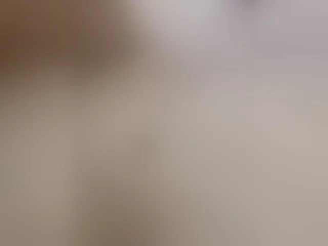 Live sex webcam photo for Elena-G #290731007