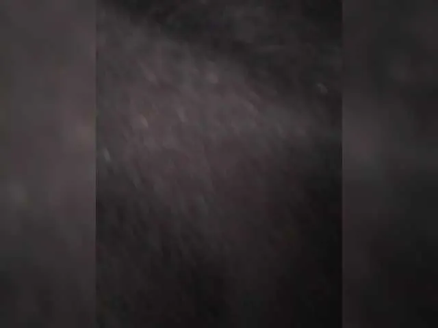 Live sex webcam photo for Elena19962 #291610792