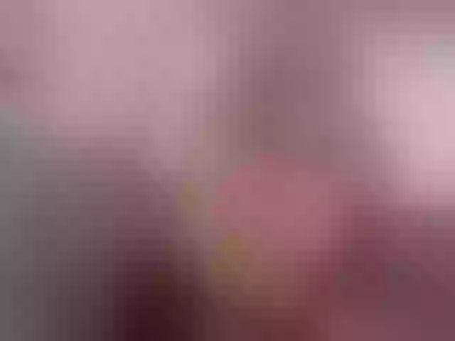 Live sex webcam photo for ElenaJuarez #292165827