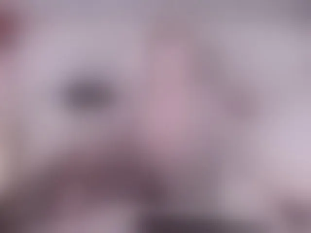 Live sex webcam photo for ElenaJuarez #293476649