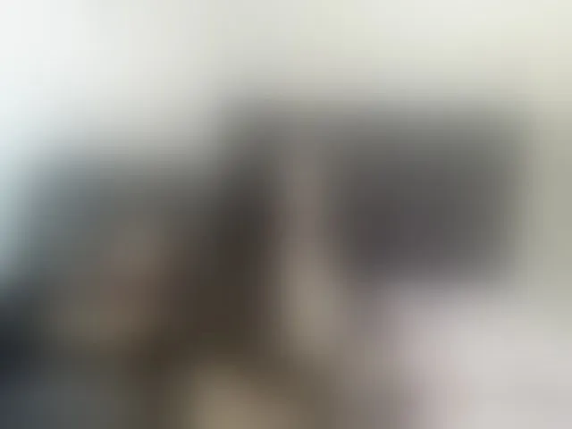 Live sex webcam photo for Elenawalkers #272529129