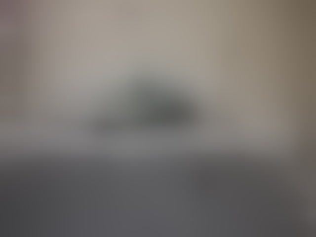 Live sex webcam photo for EliaRose #292666670