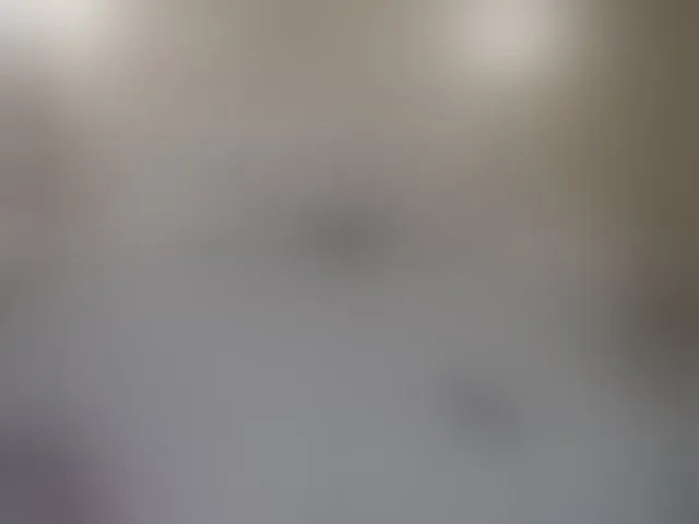 Live sex webcam photo for EliaRose #293304691