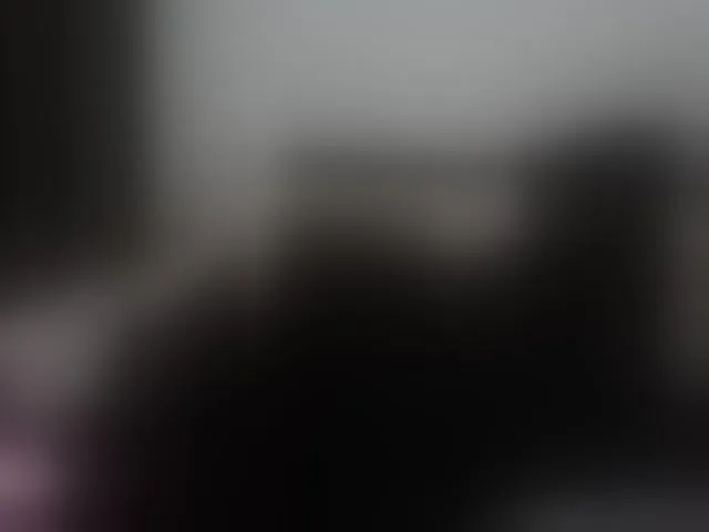 Live sex webcam photo for Elinor21 #293591388
