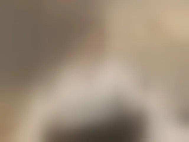 Live sex webcam photo for ElisCat #292481748