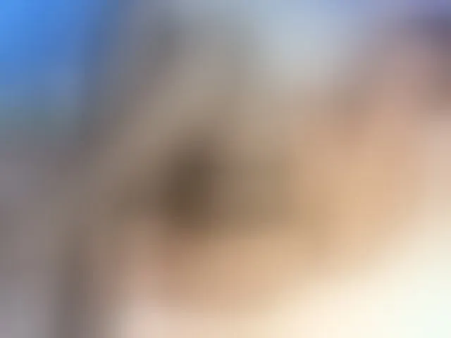 Live sex webcam photo for Elisa-bet #293289069