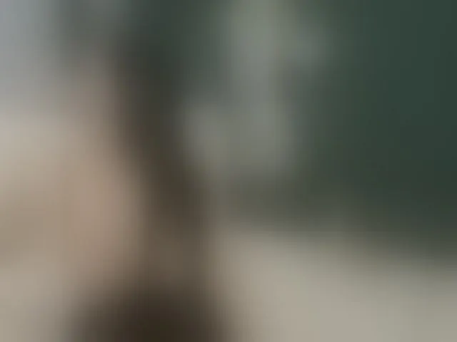 Live sex webcam photo for ElisaBaxter #292492923