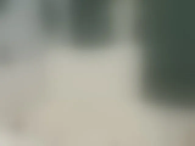 Live sex webcam photo for ElisaBaxter #292827691