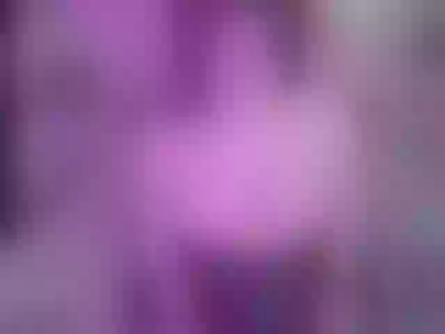 Live sex webcam photo for Elissa-rous #276239826