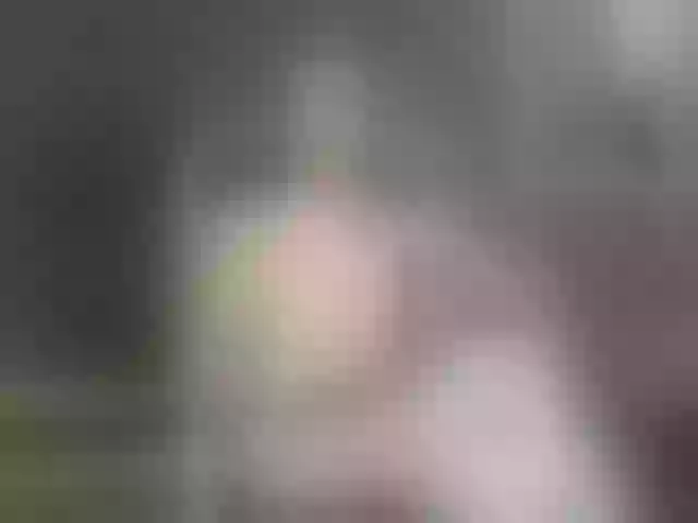 Live sex webcam photo for ElizaIbarra #290578475