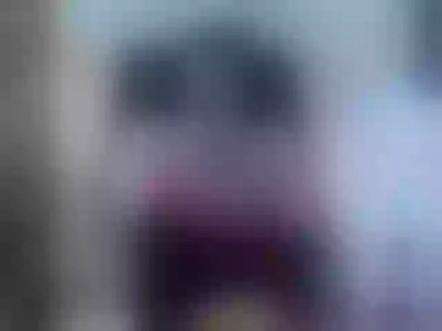 Live sex webcam photo for Elizabeth-3 #289948797