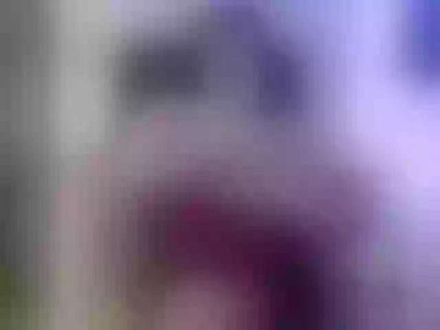 Live sex webcam photo for Elizabeth-3 #290179143