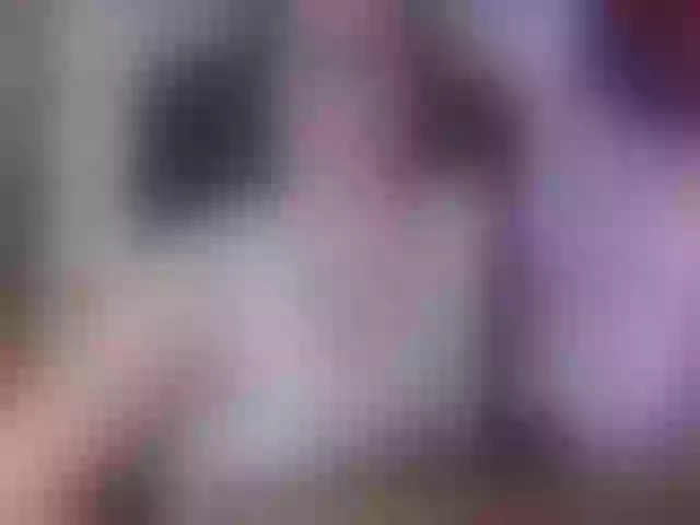 Live sex webcam photo for Elizabeth-3 #291909397