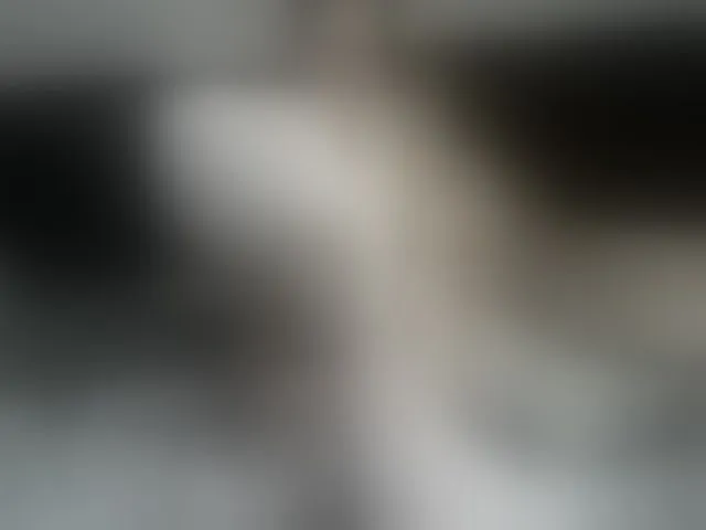 Live sex webcam photo for Elizabeth-Ban #273158417