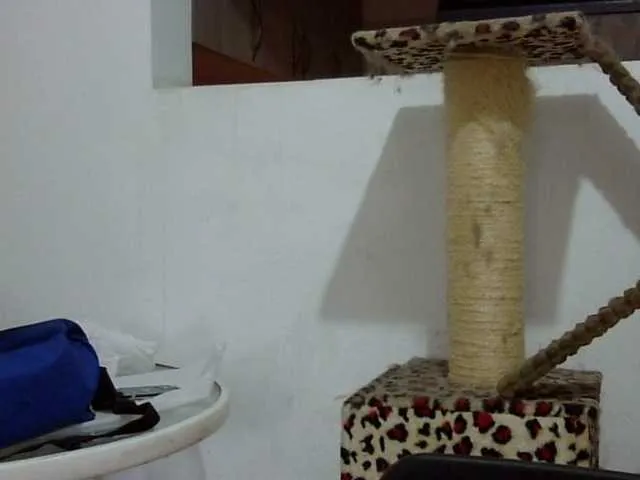 Live sex webcam photo for ElizabethMart #290814345