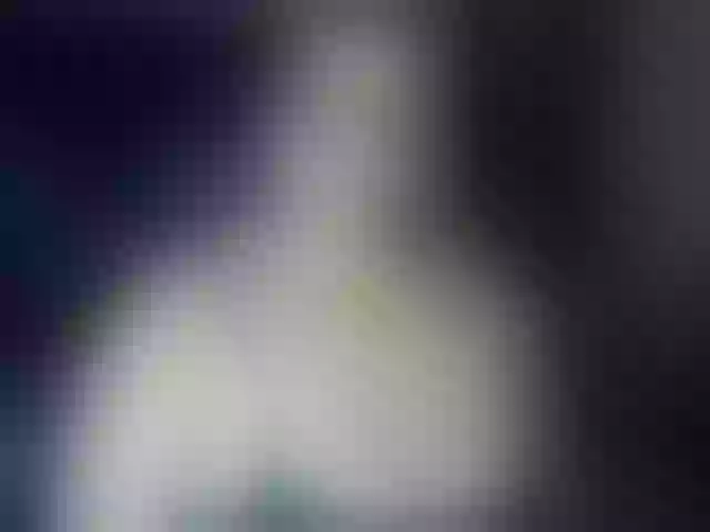Live sex webcam photo for ElizabethTaylor8 #291954802