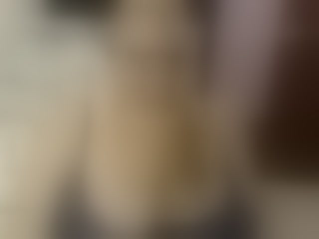 Live sex webcam photo for ElizabethTaylor8 #294311201