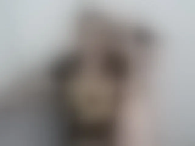 Live sex webcam photo for EllaSwan #278114773