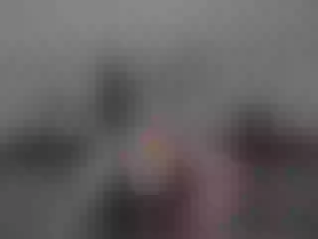 Live sex webcam photo for EllaSwan #291850384