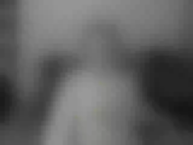 Live sex webcam photo for EllaSwan #292266799