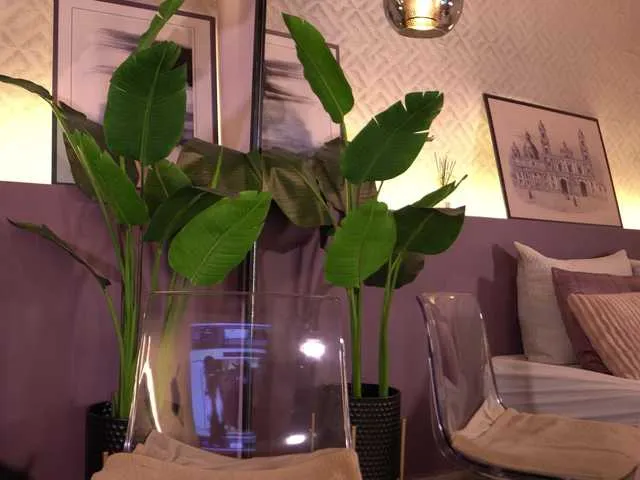 Live sex webcam photo for ElleDiane #291310629