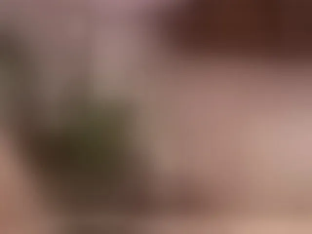 Live sex webcam photo for ElleDiane #293270884