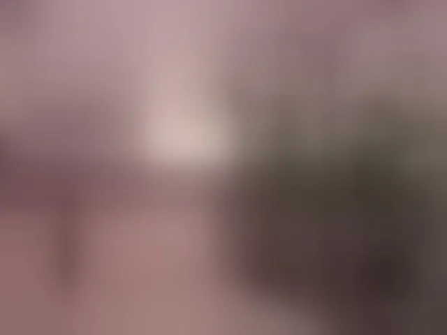 Live sex webcam photo for ElleDiane #293328036