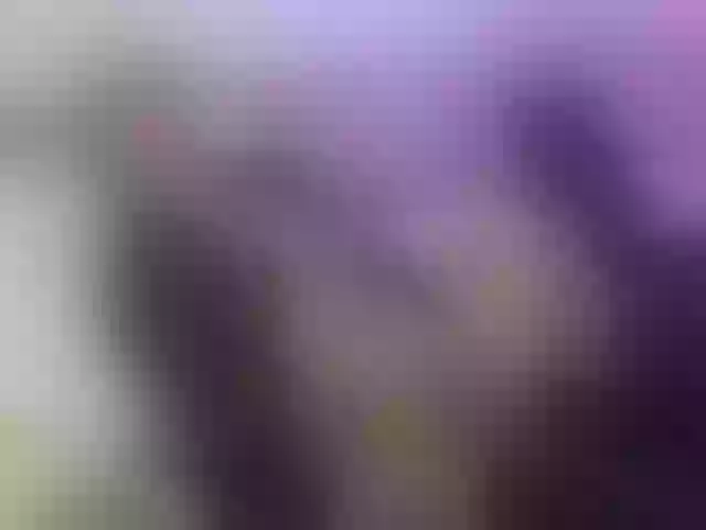 Live sex webcam photo for EllySunset90 #276898818