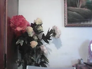 Live sex webcam photo for Ely1994 #157242770