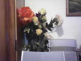 Live sex webcam photo for Ely1994 #157481602