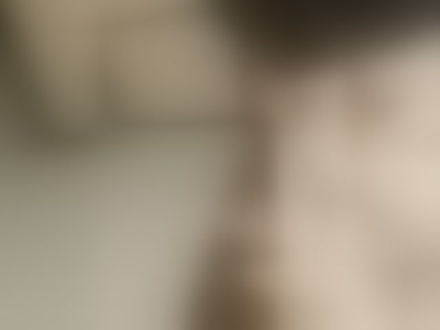 Live sex webcam photo for Elya6 #294273859