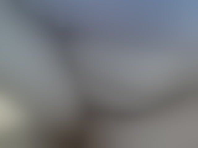 Live sex webcam photo for Elysa221 #294221821