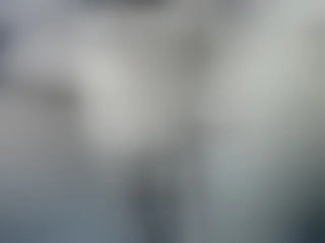 Live sex webcam photo for Elysa7 #293260819