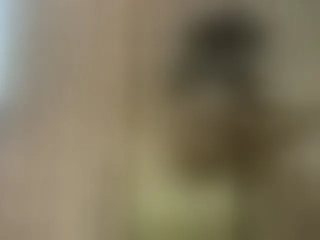Live sex webcam photo for Elysa7 #293322650
