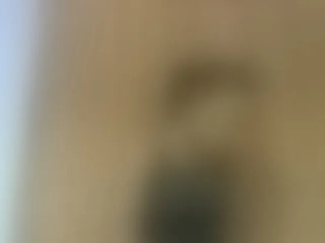 Live sex webcam photo for Elysa7 #293396909