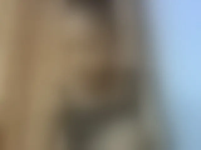 Live sex webcam photo for Elysa7 #293453874
